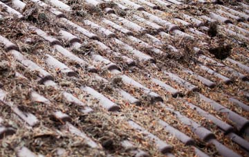 Tritlington roof cleaning companies